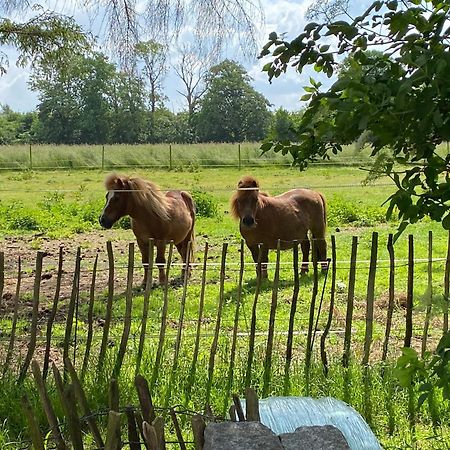 Bed & Breakfast 5 Min From E47 - Dogs Welcome - Cosy Farm Bnb Tureby Exterior photo